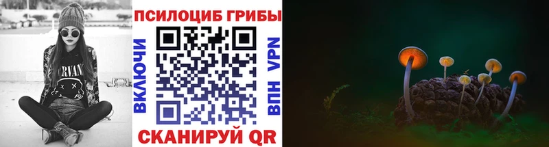 хочу наркоту  Воскресенск  Псилоцибиновые грибы Psilocybine cubensis 